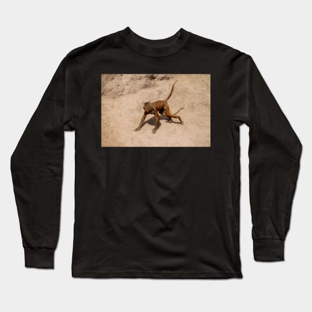 Chase Me Chase Me Long Sleeve T-Shirt by Ladymoose